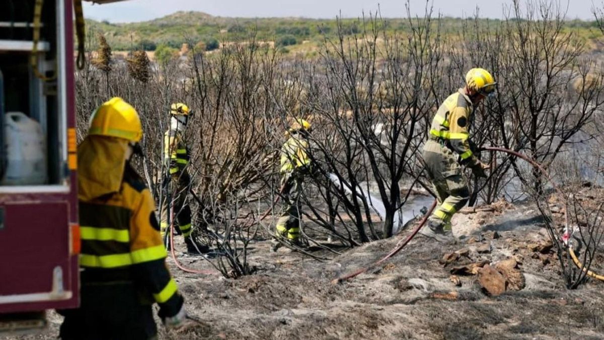 El Gobierno de Aragón carga contra OSTA por la huelga de forestales y el sindicato responde: "Nos parece lamentable"