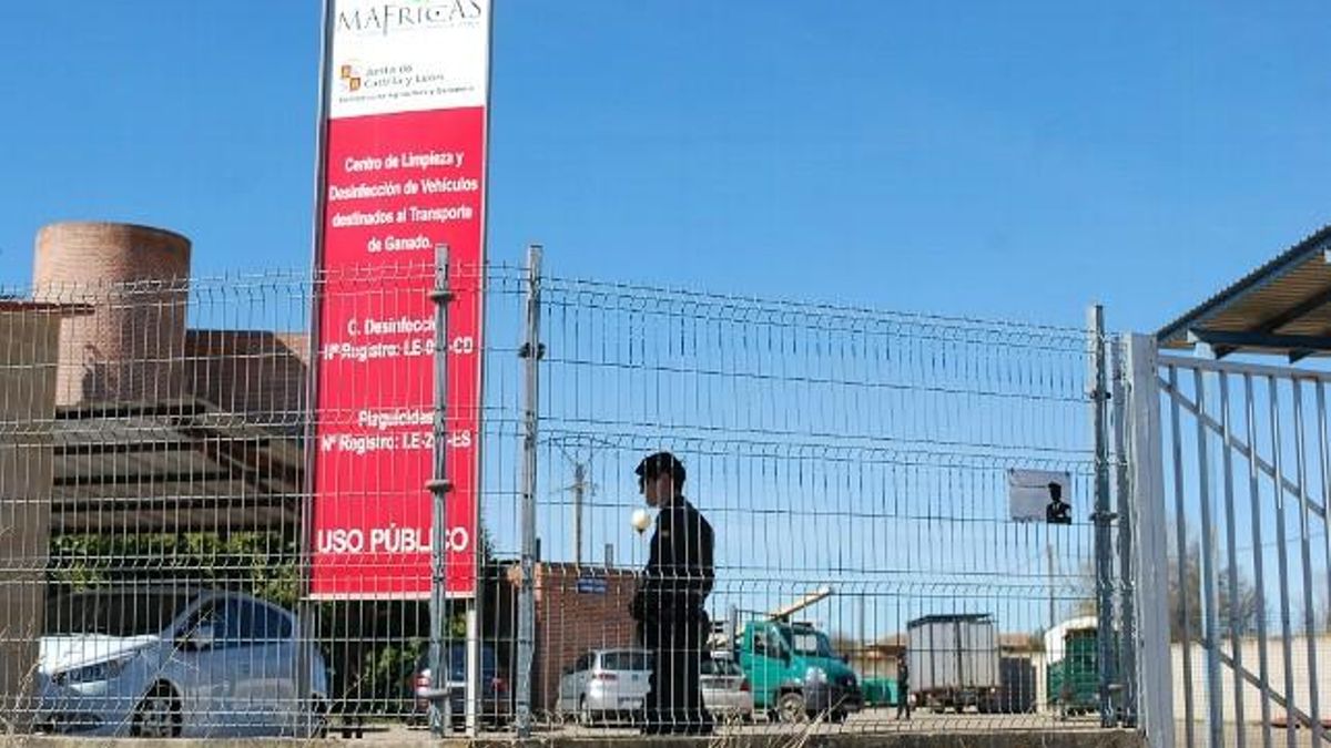 Imagen de archivo del matadero de Astorga, con problemas por una investigación años atrás.