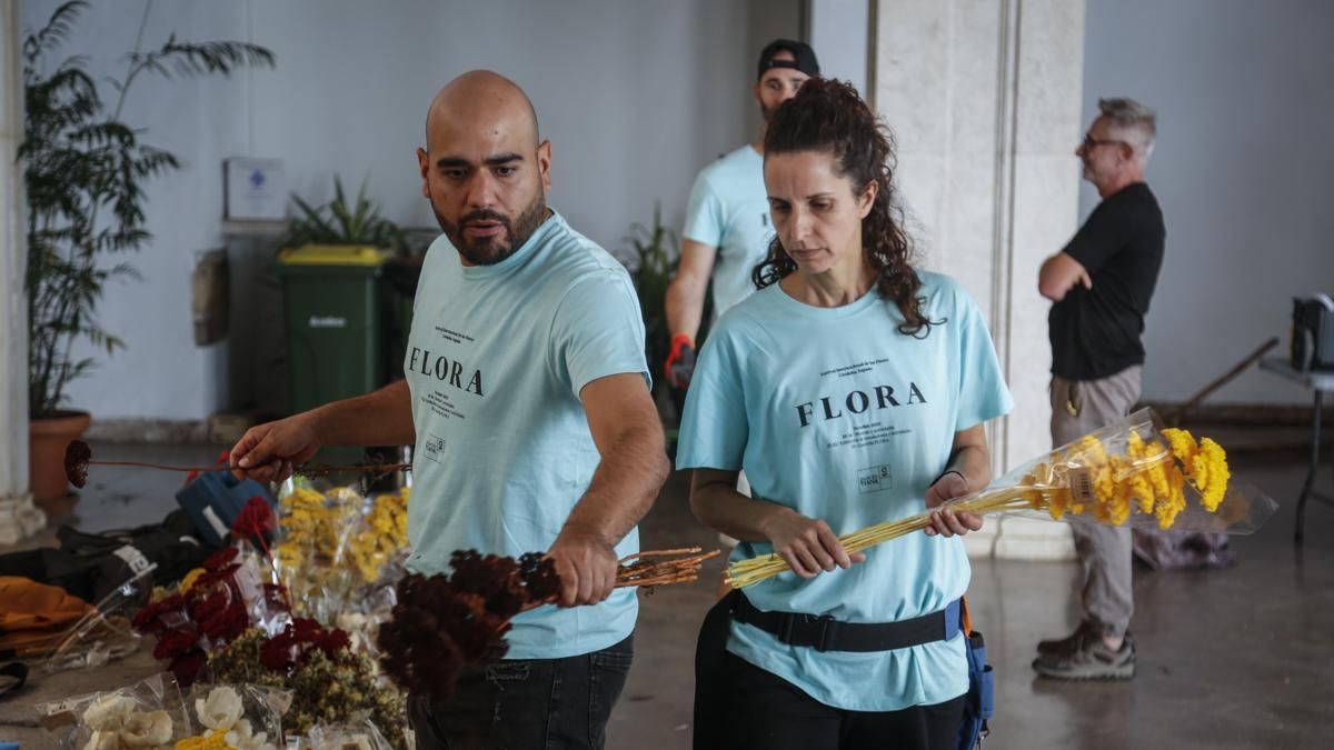 Comienzo del montaje de Flora 2025