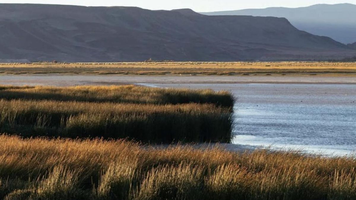 Foto: Leo Seura - Asamblea Pucará