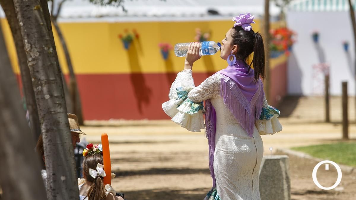 Miércoles de Feria en el Arenal