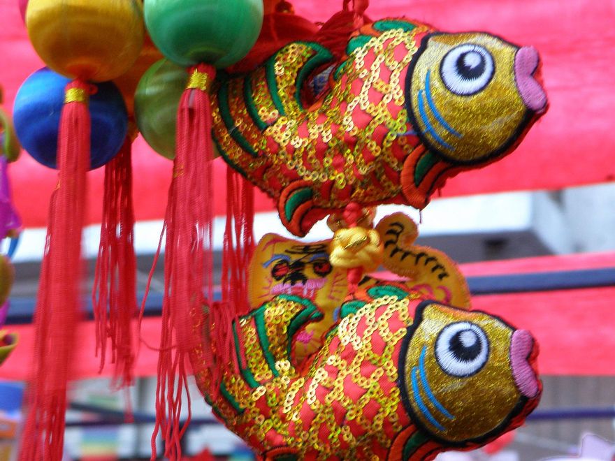 Peces en el Barrio Chino.