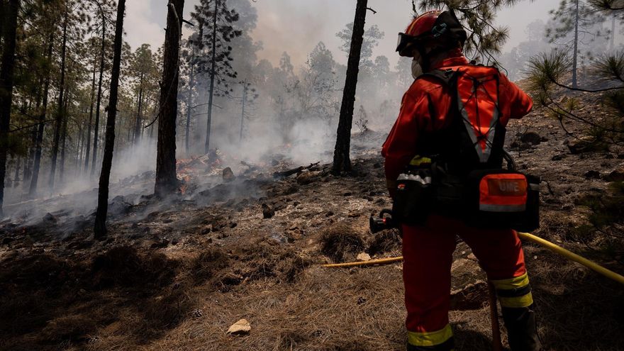 Miembros de la Unidad Militar de Emergencias UME participan este viernes en las labores de extinción del incendio que afecta desde ayer al municipio tinerfeño de Arico