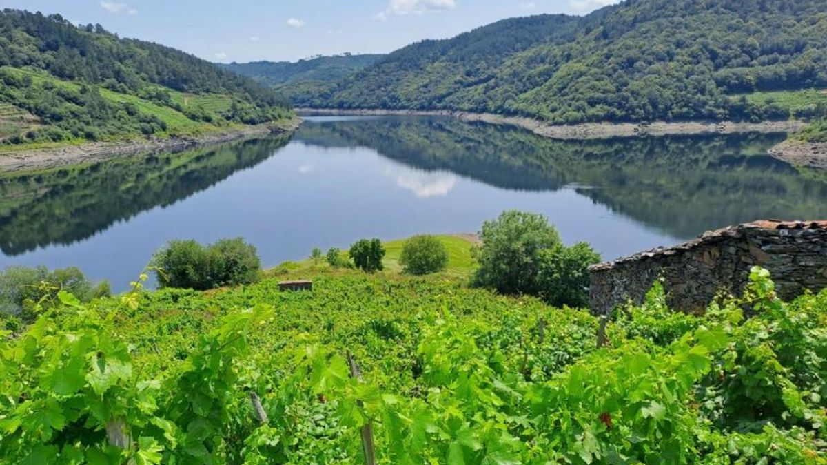 La ruta sensorial perfecta para descubrir los paisajes más verdes y panorámicos de la Ribeira Sacra en verano