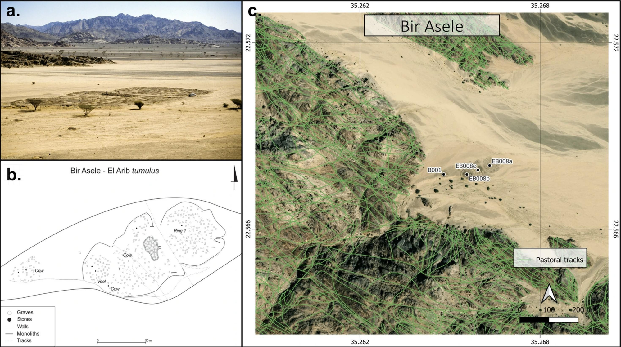a. AEBs en Bir Asele © James Harrell. b. Mapa/plano del sitio de Bir Asele, según Murray, 1926. c. Senderos pastorales alrededor de Bir Asele © Google Earth, dibujado por Marie Bourgeois.