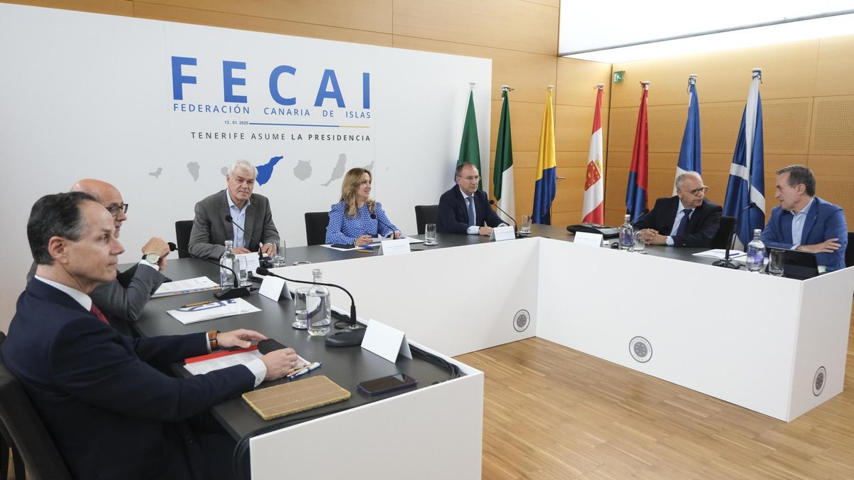 Los presidentes de los cabildos de Canarias, en la reunión de la Federación de Islas (Fecai), celebrada ayer bajo la presidencia de Rosa Dávila (Coalición Canaria).