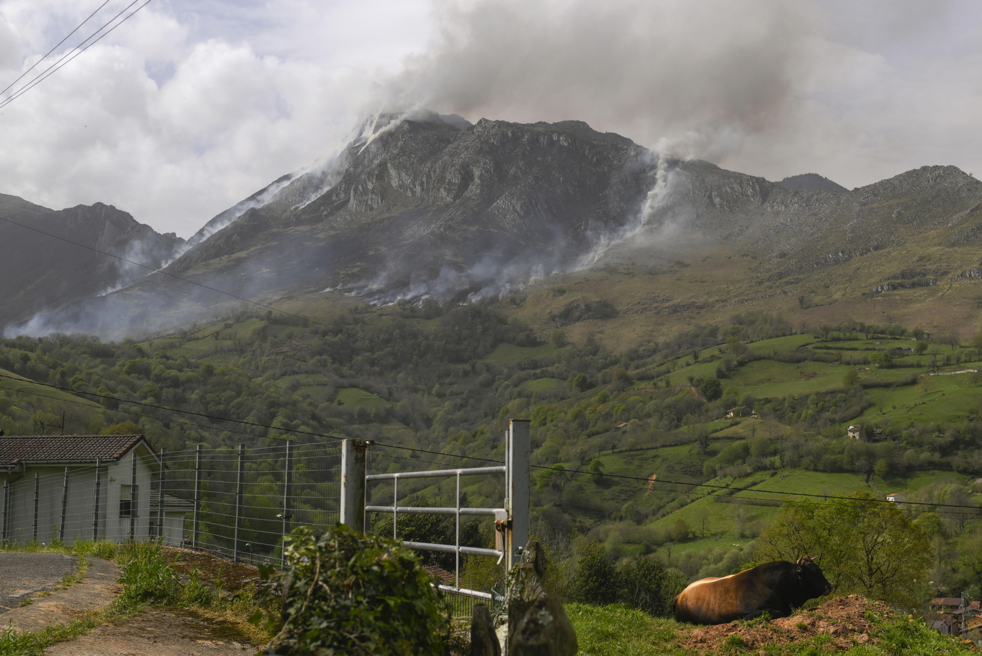 Varias columnas de humo, ayer martes, en los montes del concejo de Morcín.