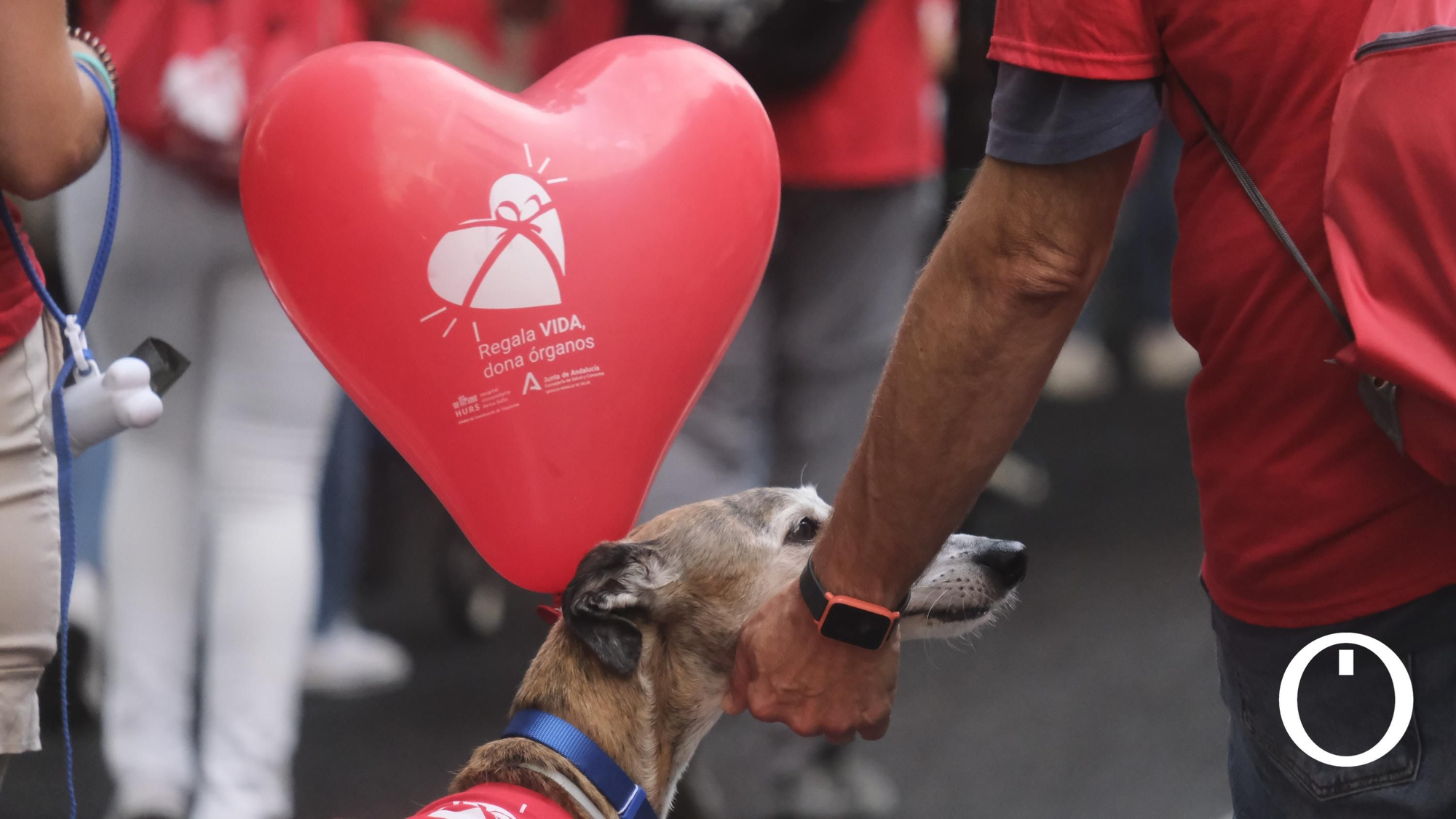 Marcha por la Donación de órganos.