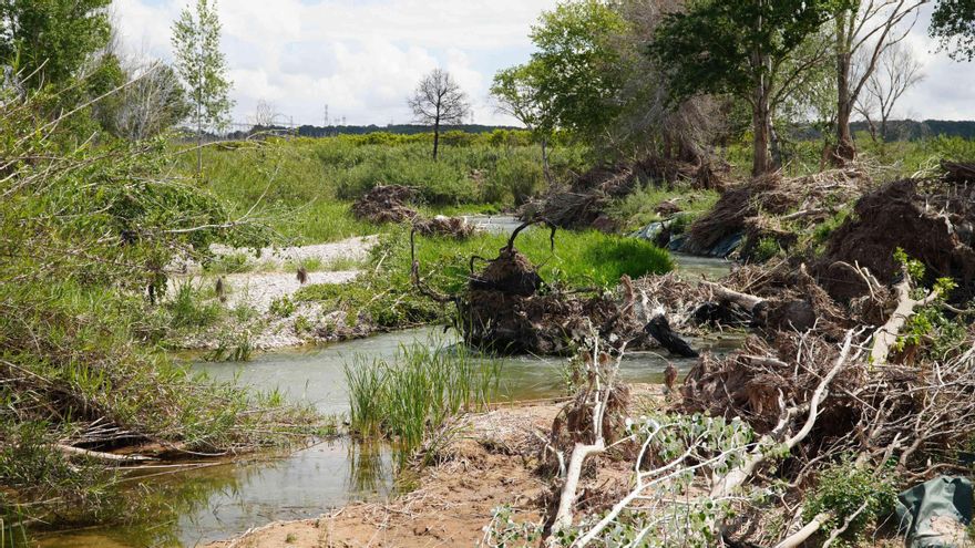 La FVMP solicita a la CHJ la limpieza de cauces y barrancos ante la proximidad de la época de lluvias otoñales