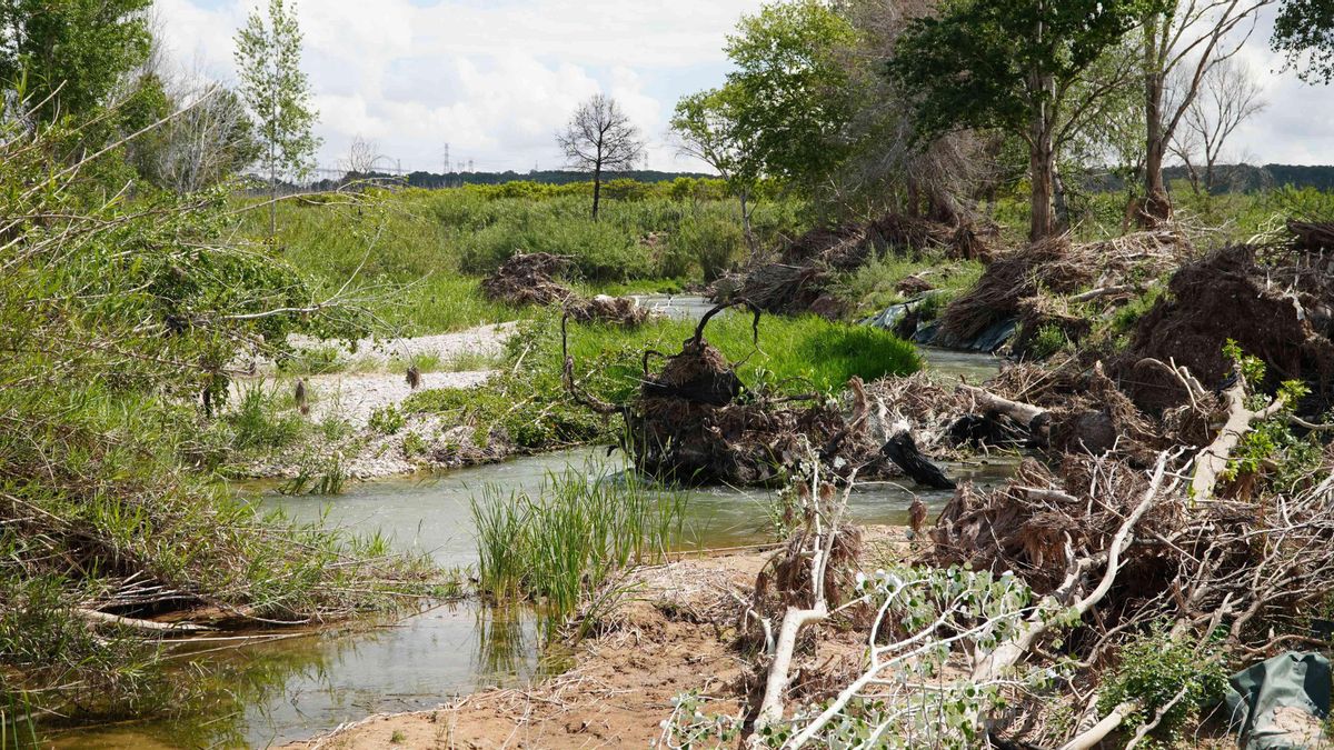 La FVMP solicita a la CHJ la limpieza de cauces y barrancos ante la proximidad de la época de lluvias otoñales