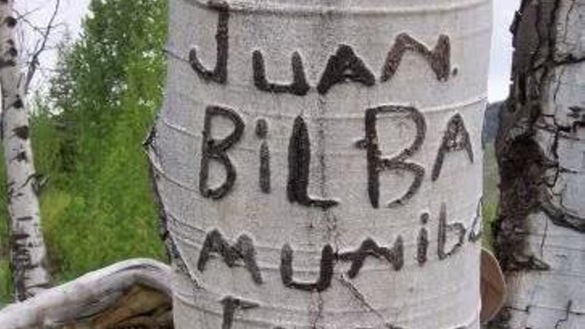 Um dos arborglifos encontrados nos EUA.