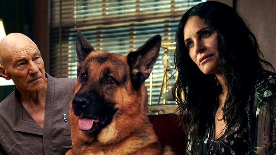 Las 18 series de la semana reciben a Courteney Cox, al nuevo perro Rex y el regreso de Picard