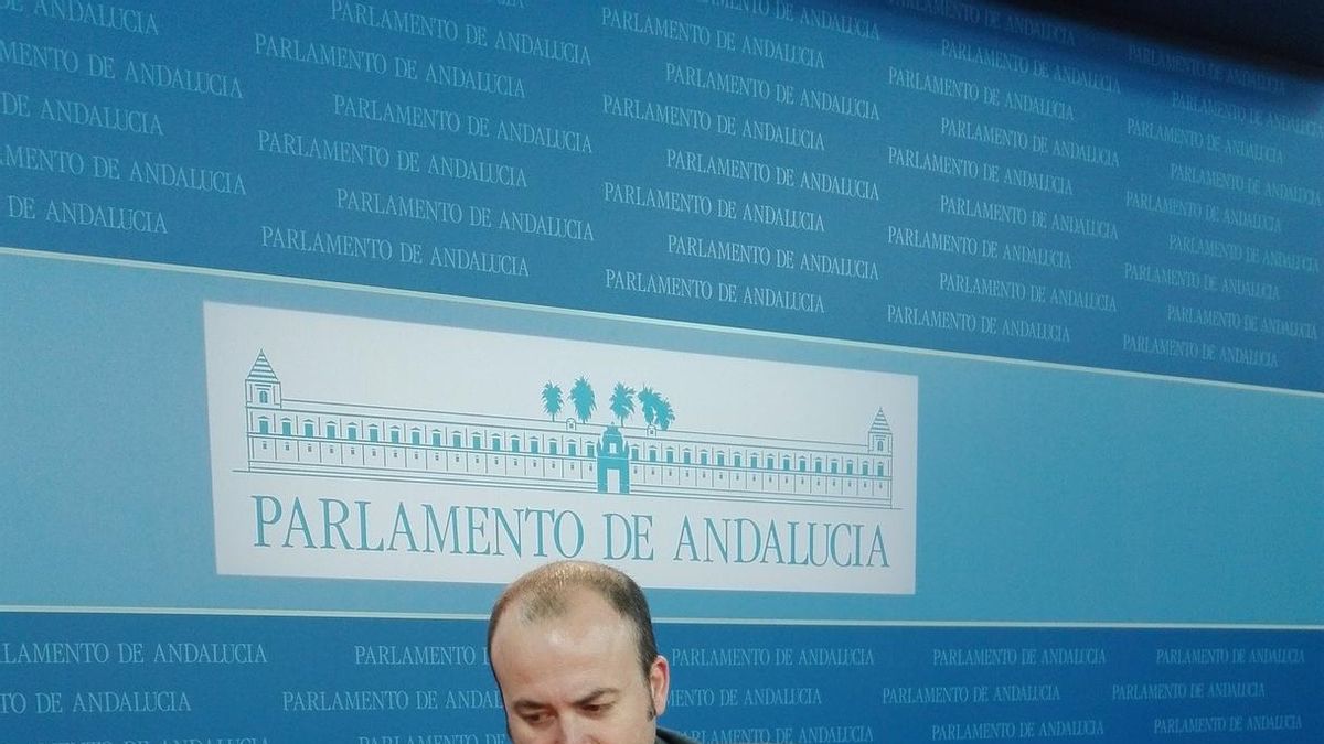 El presidente de la comisión de formación, Julio Díaz