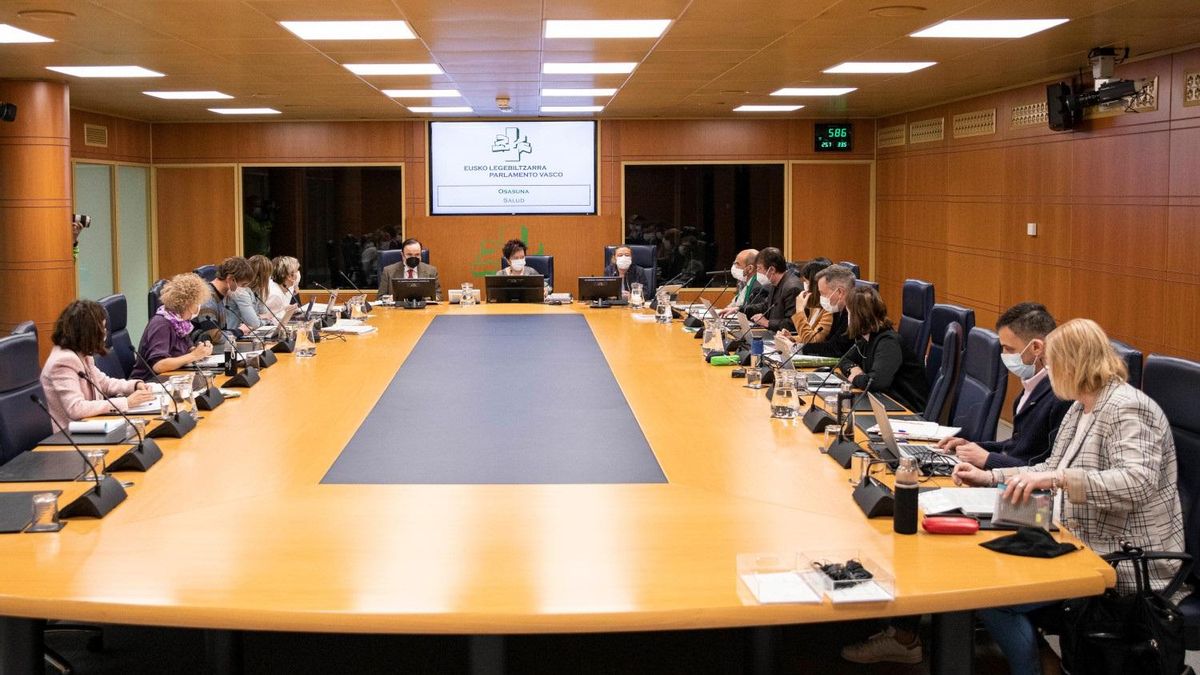 Sagardui da cuenta del grado de cumplimiento del 'Plan Oncológico de Euskadi 2018-2023' ante la Comisión de Salud