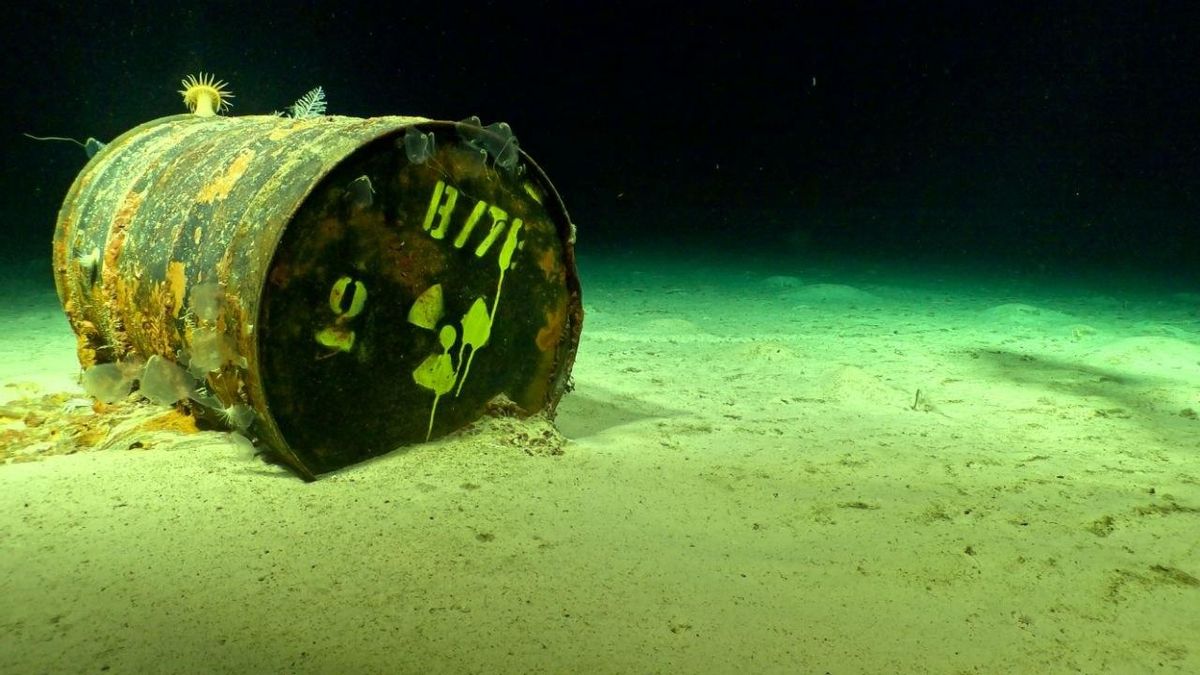 Científicos documentan “el avanzado estado de deterioro de varios” de los bidones radioactivos de la Fosa Atlántica