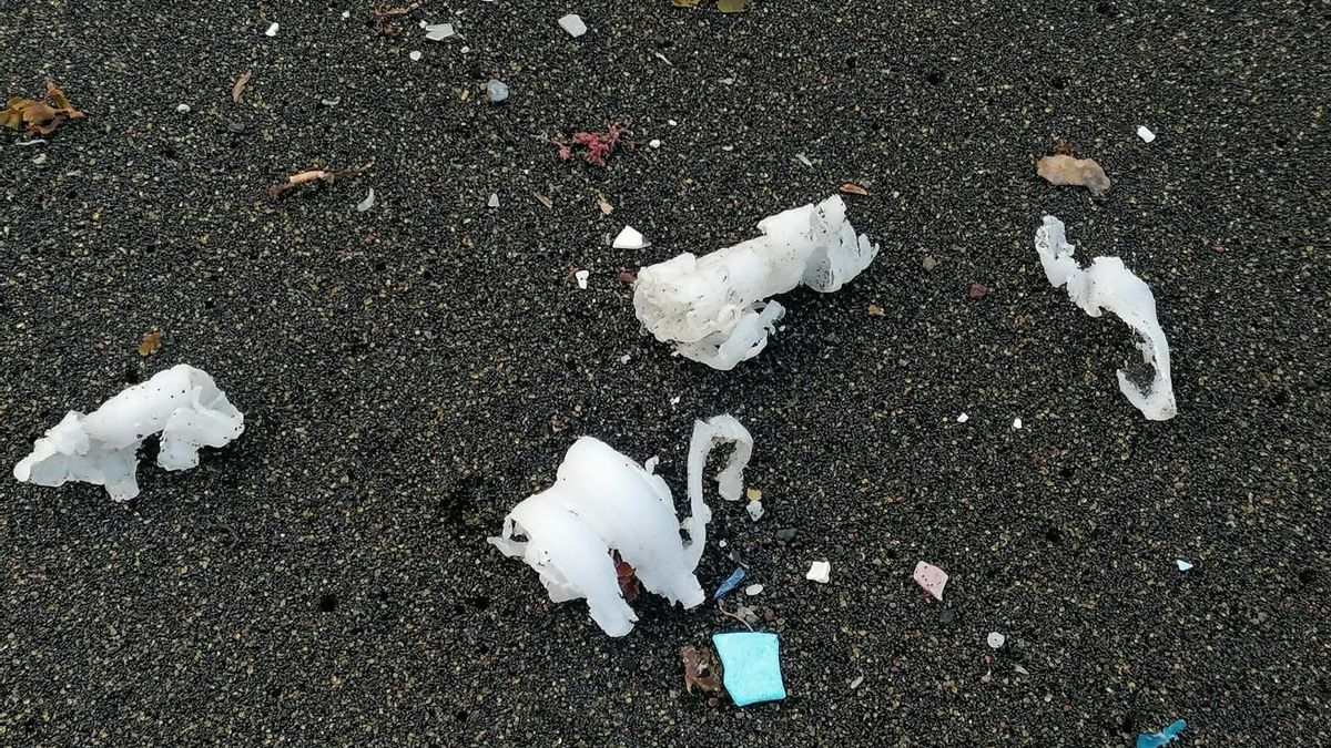 Residuo plástico localizado en la costa de La Palma. MOVIMIENTO SOMOS UNA OLA