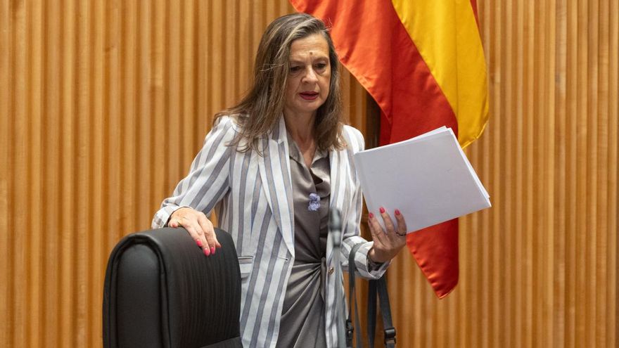 La delegada del Gobierno contra la Violencia de Género, Carmen Martínez Perza, comparece ante la Comisión de seguimiento y evaluación de los acuerdos del Pacto de Estado en materia de Violencia de Género, en el Congreso de los Diputados.