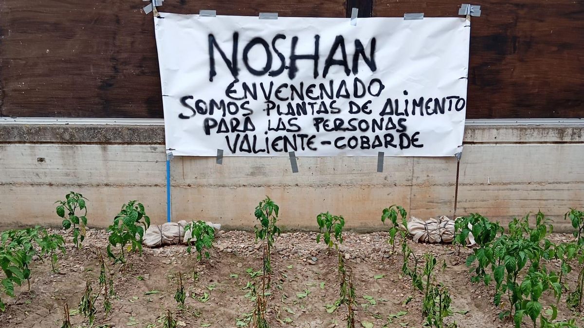 Envenenan un huerto en Santurdejo: "¿Qué habría pasado si comemos o regalamos un producto envenenado?"