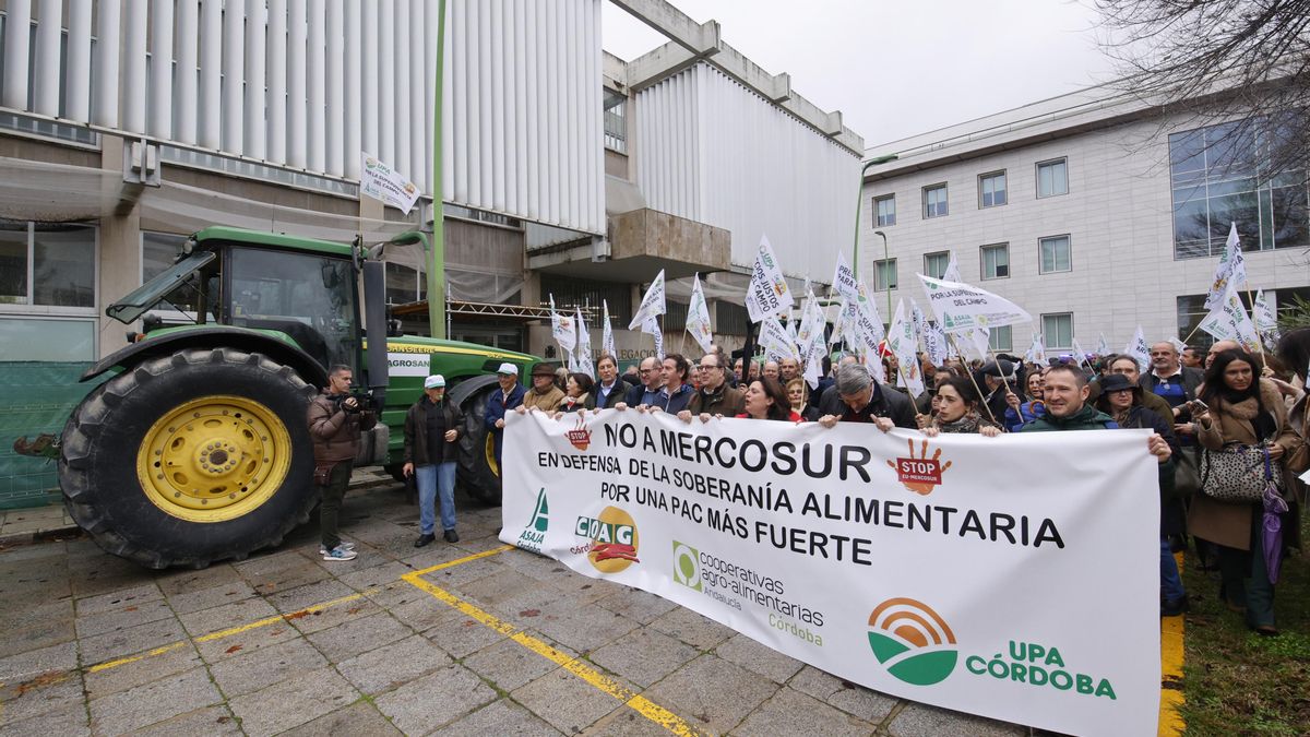 Más de 2.600 agricultores sacan sus tractores a la calle en siete provincias andaluzas en contra de Mercosur