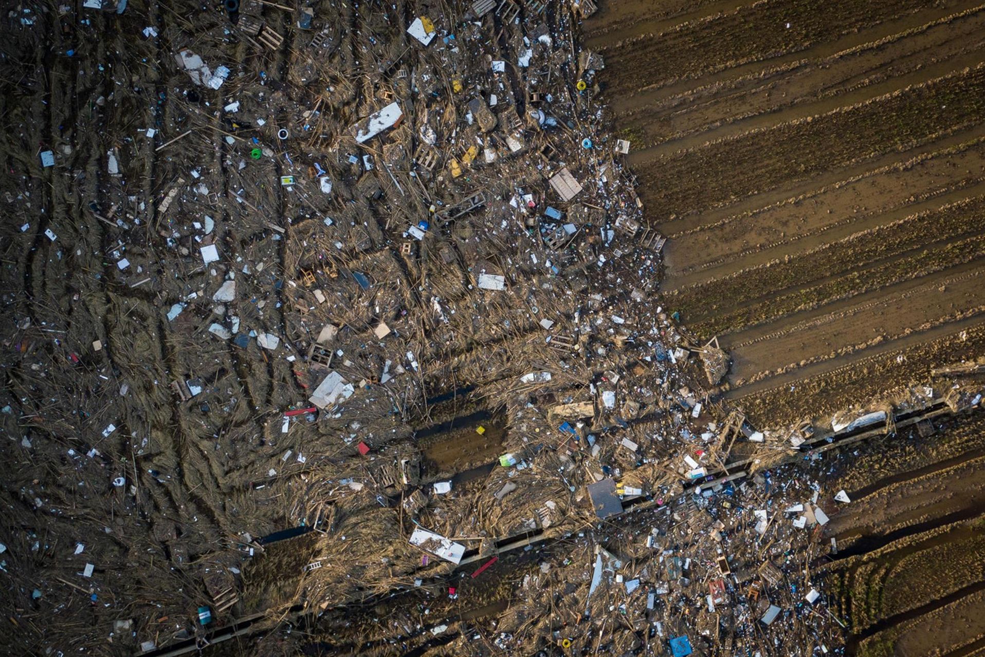 Parque natural de la Albufera de Valencia afectado por la dana