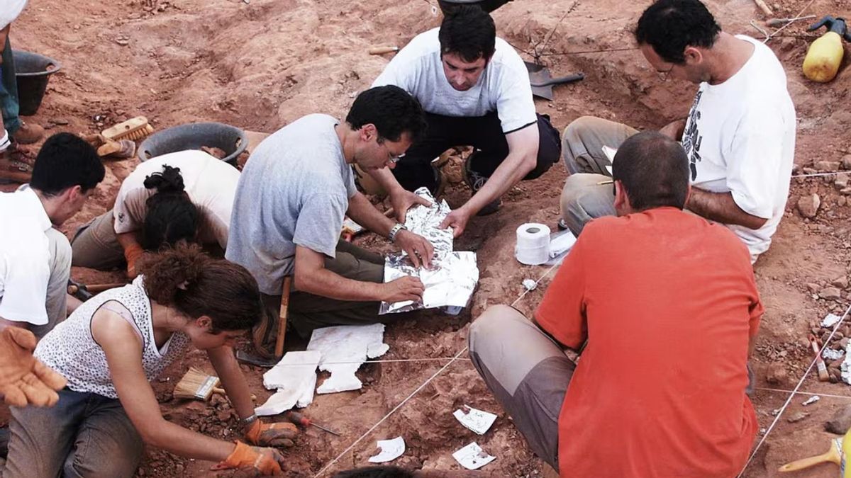 Investigadores trabajando con los restos de dinosaurios en la Sierra de la Demanda, en Burgos