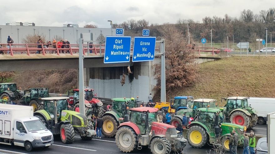 Agricultores catalanes cuelgan un jabalí y un ciervo muertos en la C-17 para protestar por el "exceso" de fauna salvaje