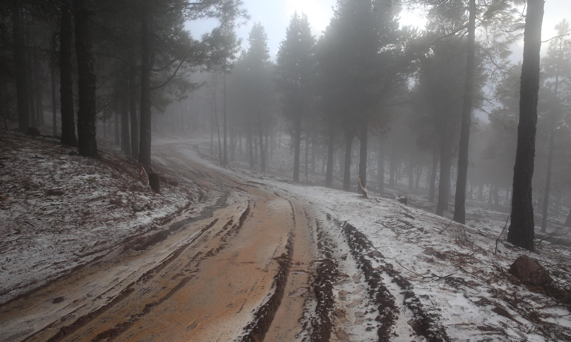 Alrededores del Pico de Las Nieves cubiertos de nieve