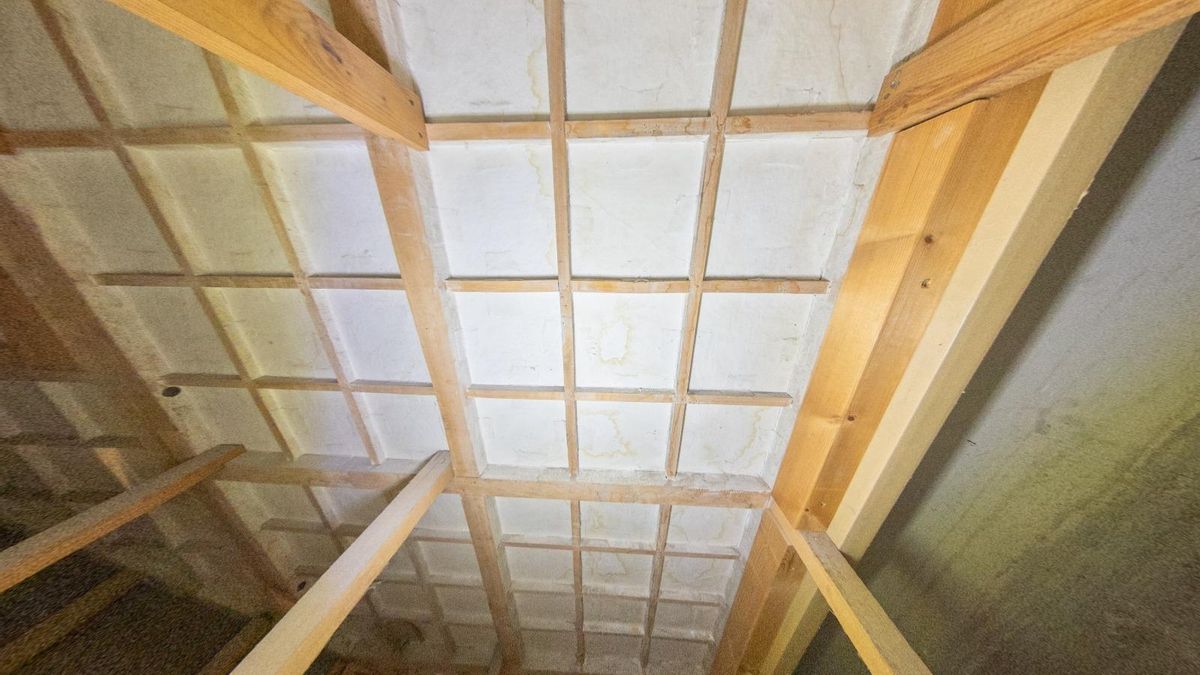 Imagen de la parte posterior de las pinturas donde se aprecian las humedades