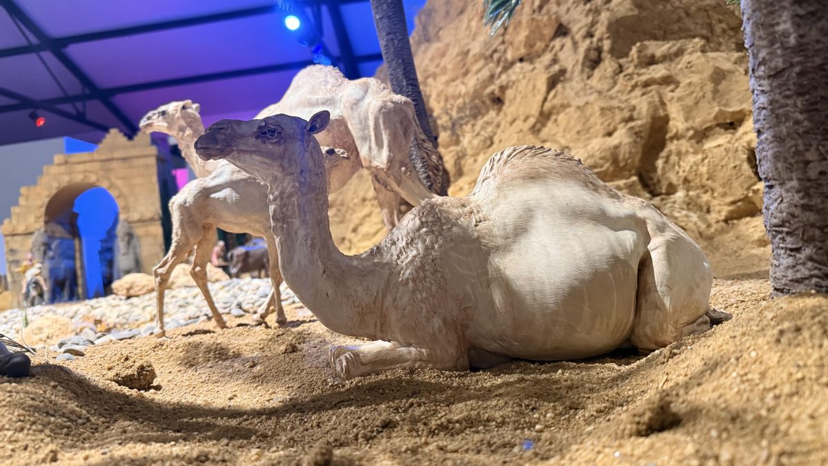 El Belén de Valencia de Don Juan recrea el Próximo Oriente con 45 metros cuadrados de escena monumental.
