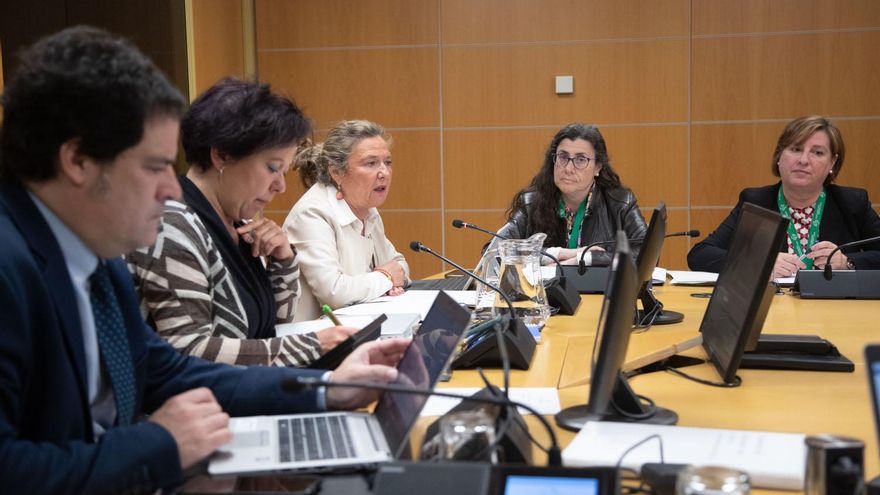 Euskadi presenta un plan genérico para la Sanidad pública que desliza una apuesta por la atención “diferida” y "virtual”