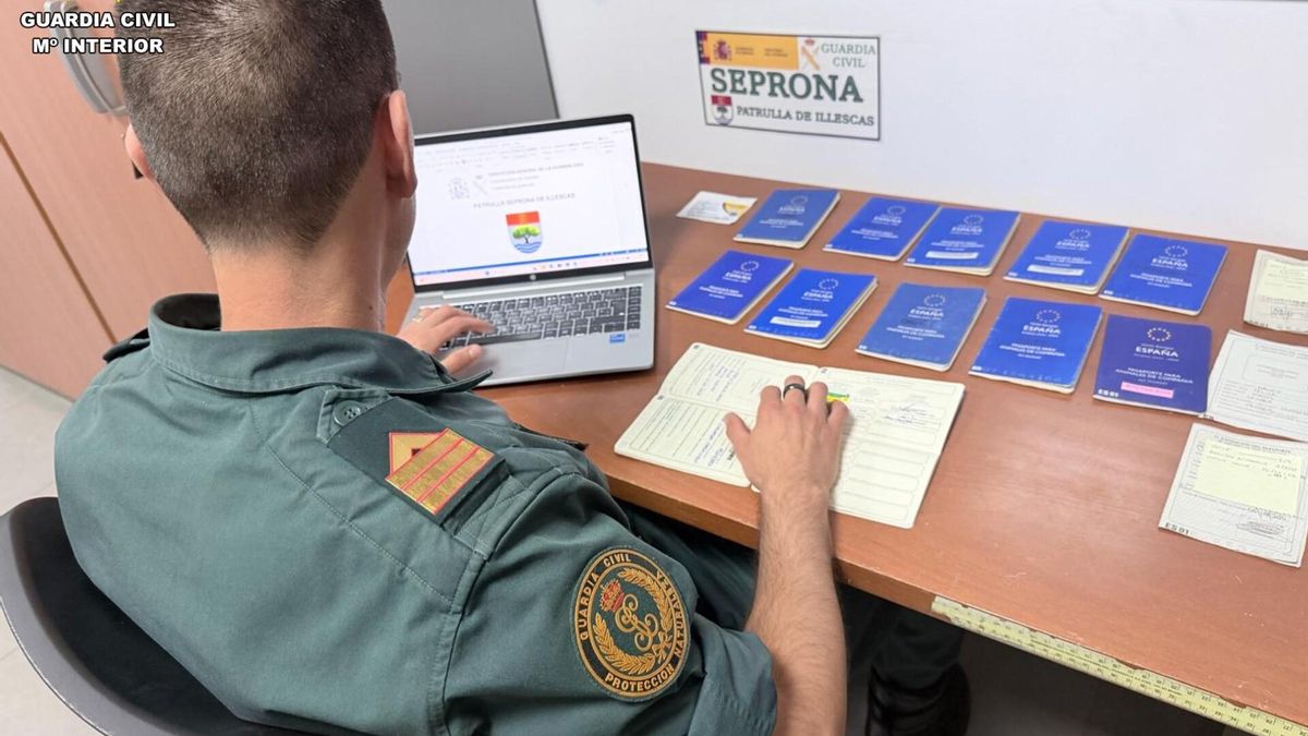 La Guardia Civil investiga a la titular de un albergue clandestino de animales en Illescas y a una veterinaria