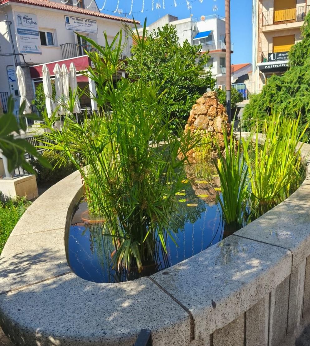 La fuente de la Plaza de la Villa de Soto del Real después de su naturalización.