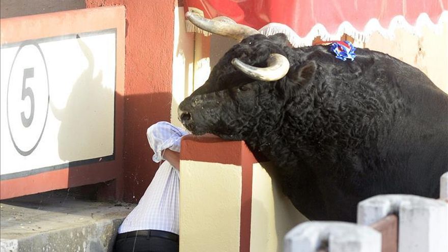 Castilla y León se muestra dispuesta a asumir el Premio Nacional de Tauromaquia con otras comunidades