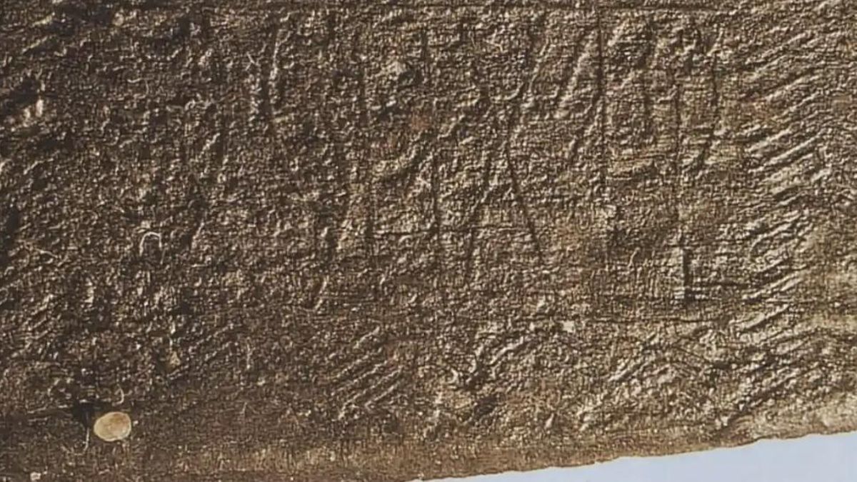 Andres Minos Dobat sostiene que los análisis de estroncio en los caballos apuntan a Dinamarca, Escania o el norte de Alemani