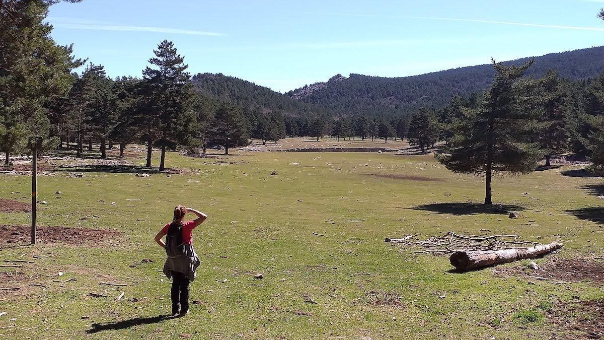 Sierra de Cebollera, en La Rioja