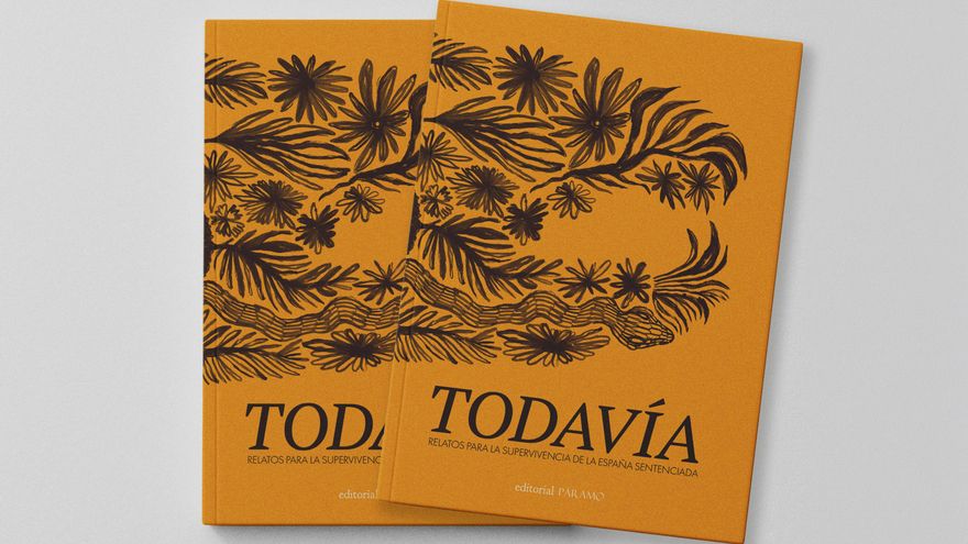'Todavía', un libro que recopila relatos sobre "la España sentenciada" y cuya campaña quiere llegar a los despachos políticos
