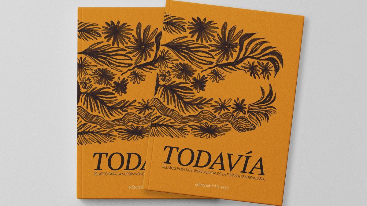 'Todavía', un libro que recopila relatos sobre "la España sentenciada" y cuya campaña quiere llegar a los despachos políticos
