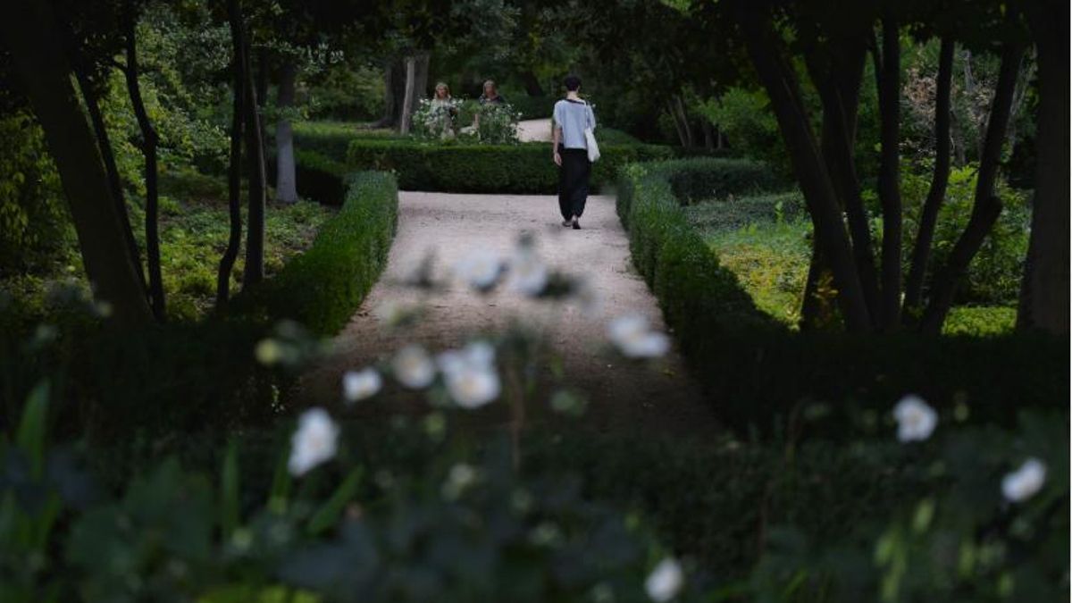 Paseante en un parque Foto: Fernando Sánchez / Europa Press