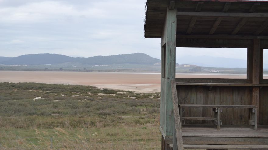 Cosechas perdidas, agua al límite de lo potable y una laguna sin flamencos: la sequía ya golpea Málaga
