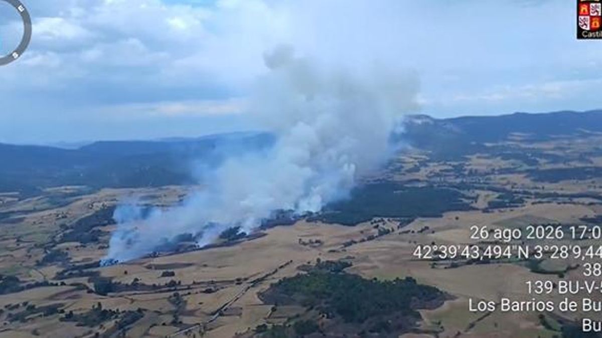 Un incendio en Salas de Bureba puede hacer peligrar una gran masa arbolada en Burgos