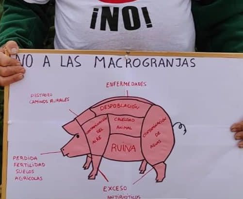 "Ruina y despoblación", así ven muchos vecinos las macrogranjas porcinas