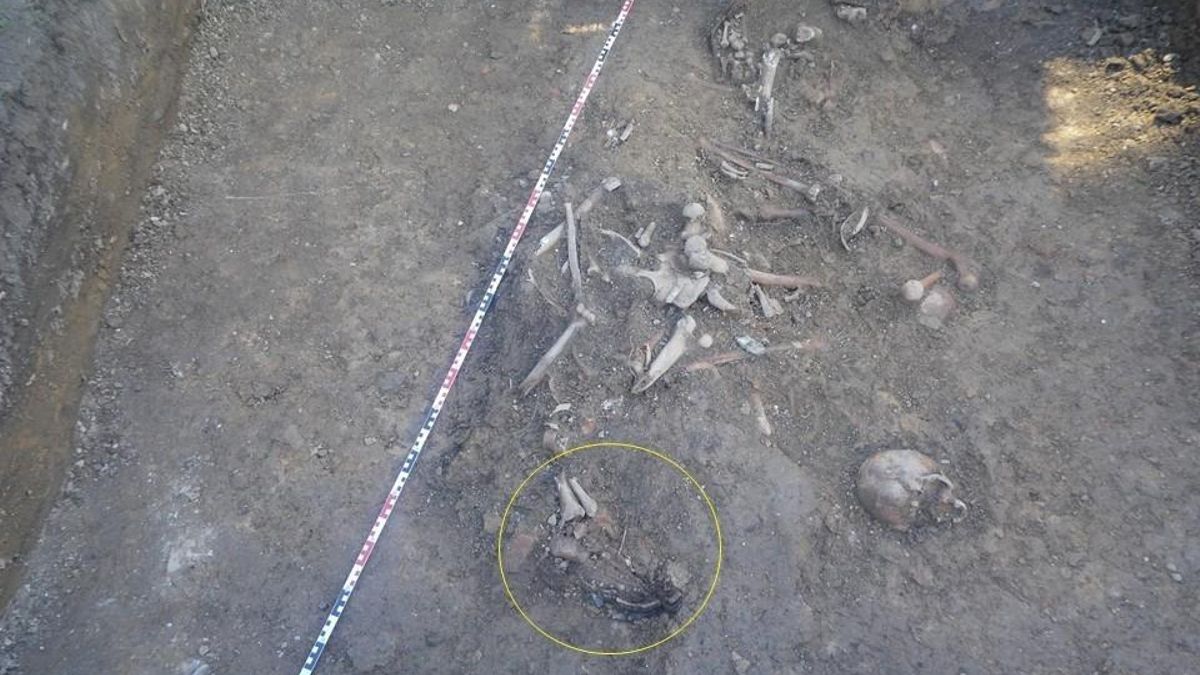 Algunos de los restos localizados en anteriores excavaciones.