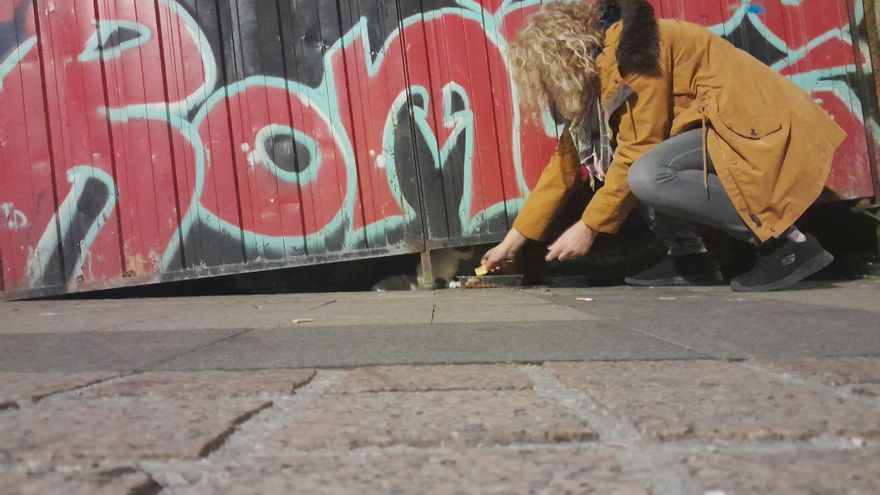 Las colonias felinas siguen al margen de la ley ante la inacción de las entidades locales y arropadas solo por los vecinos