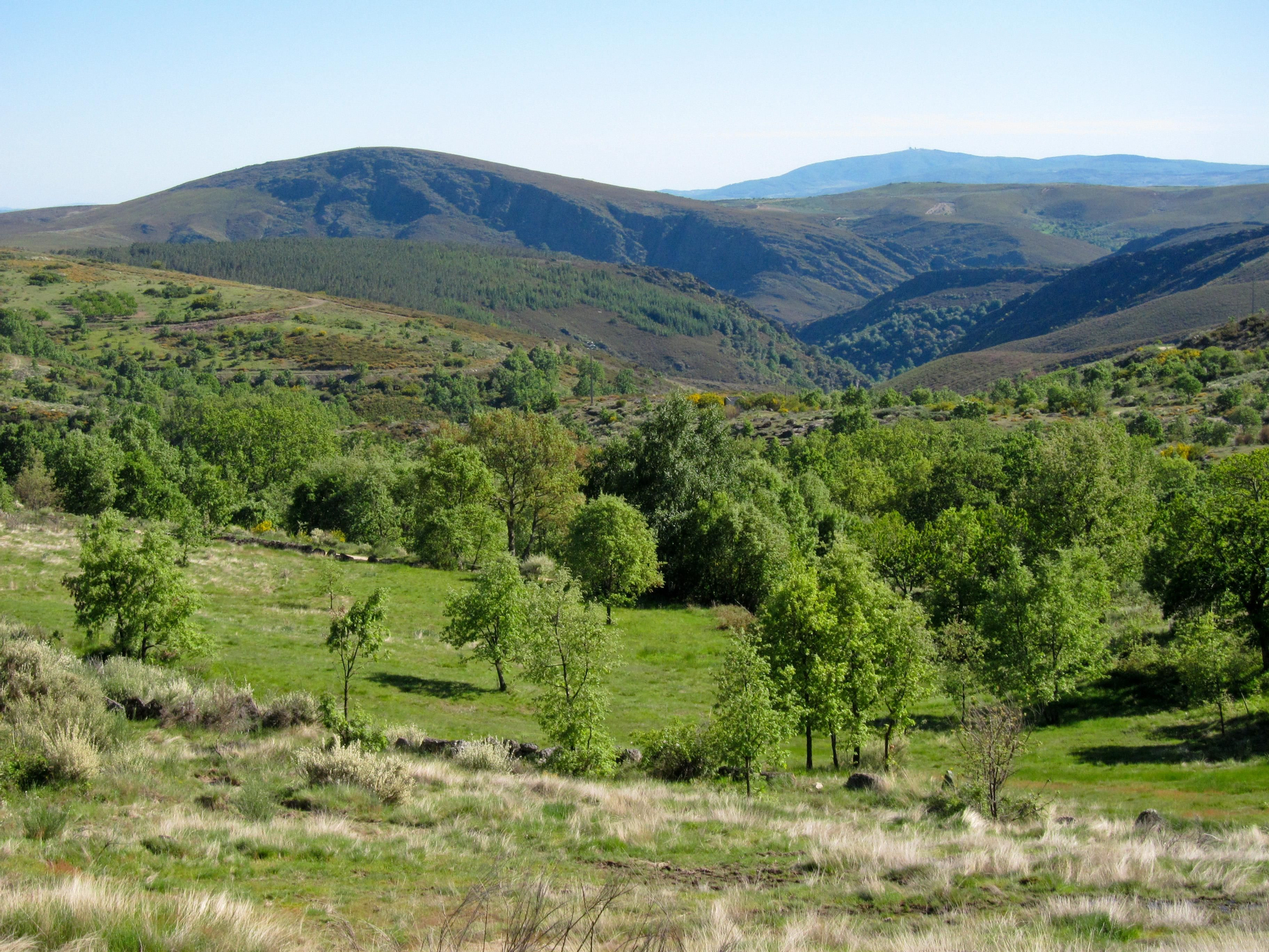 Parque Natural de Montesinho.