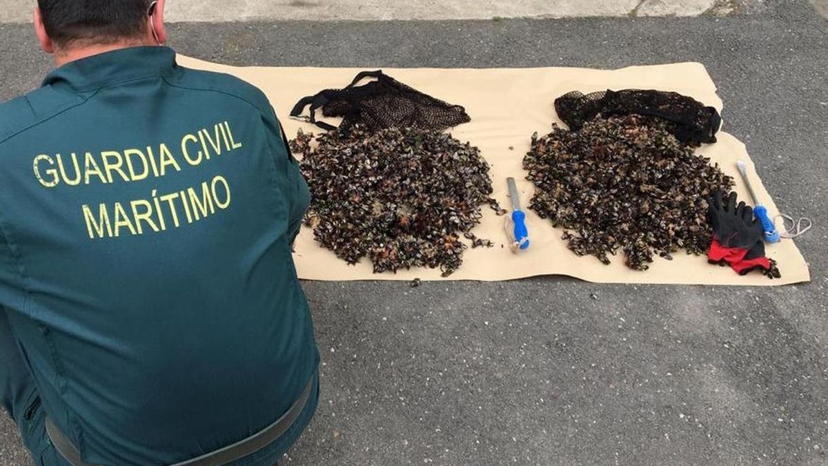 Sorprenden a dos furtivos con más de 20 kilos de percebes en los acantilados de Arnuero