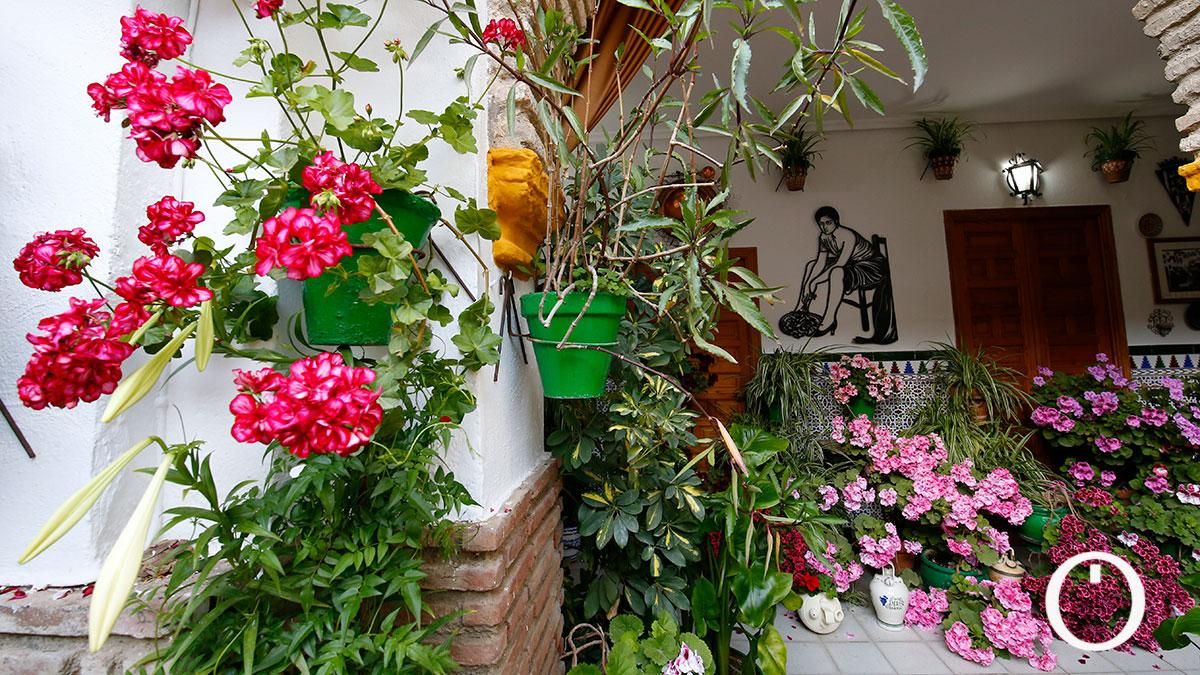 Patio Parras 8 - 2022