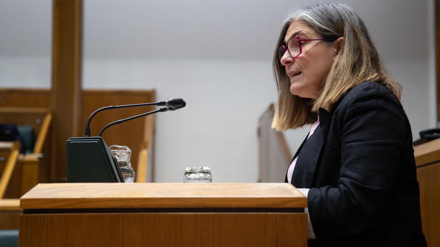 EH Bildu acusa al vicelehendakari socialista Mikel Torres de "asumir marcos de la extrema derecha"