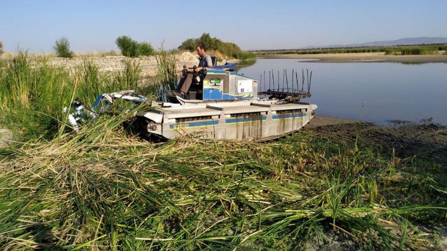 Cómo evitar que la vegetación devore el agua de las Tablas de Daimiel