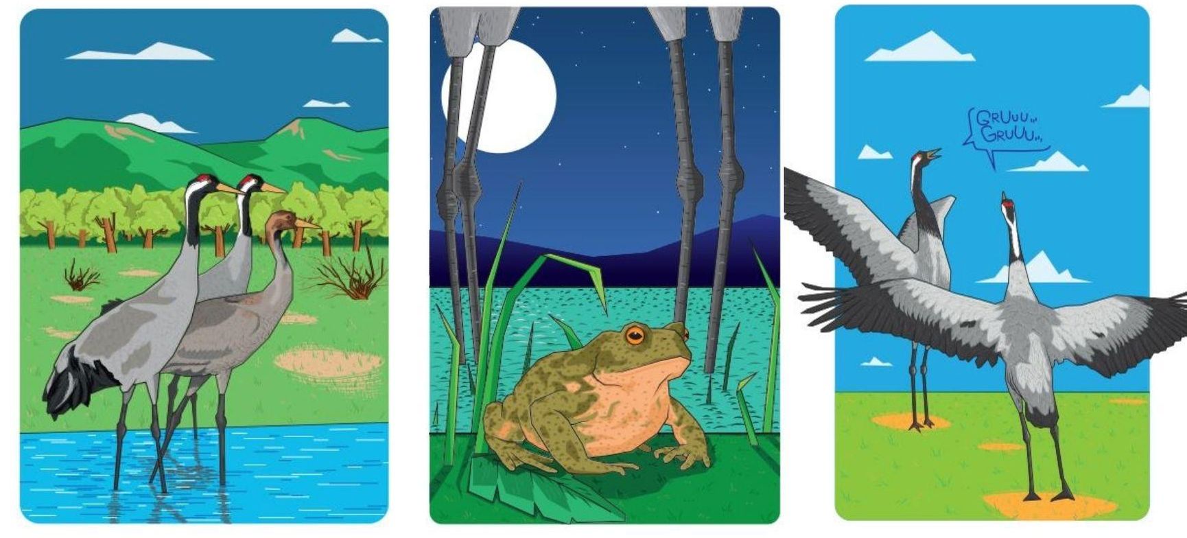 Algunas de las ilustraciones de Luis Miguel Brandineras