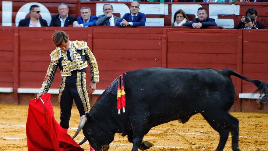 Rechazo a la escuela taurina en Ciudad Real con apoyo institucional: "Tampoco ofrece una salida profesional real"
